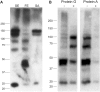 Fig. 7