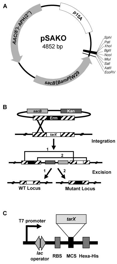 FIG. 2.