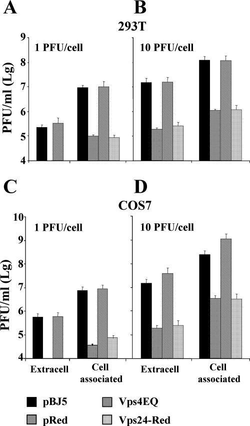 FIG. 1.