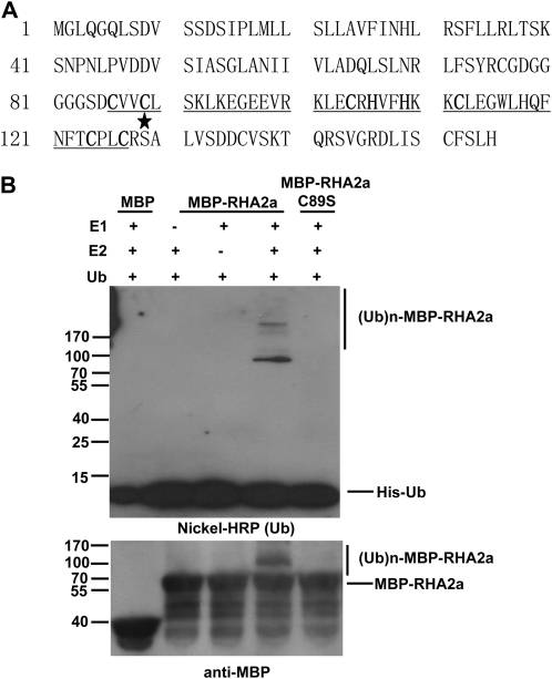 Figure 10.