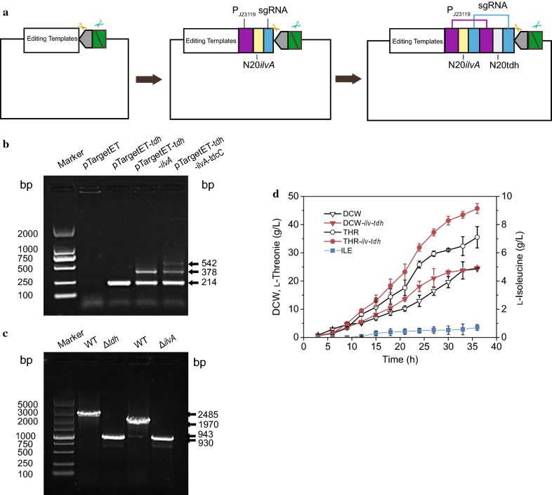 Fig. 4