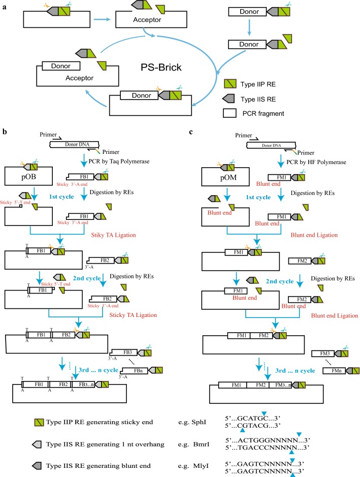 Fig. 1