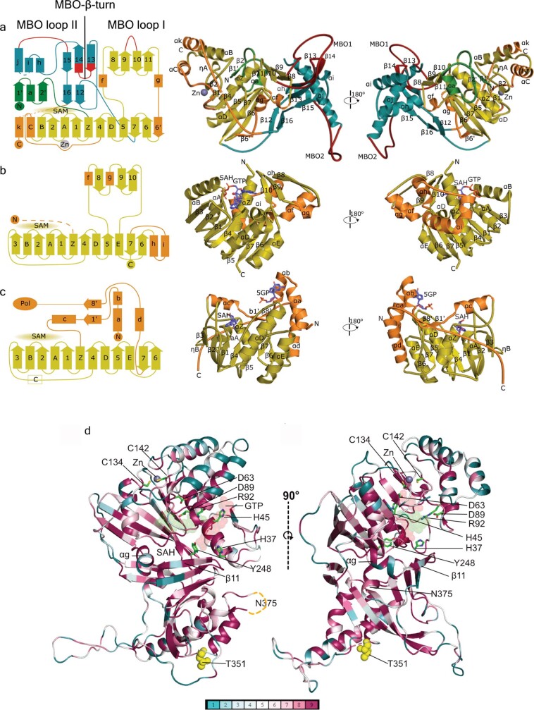 Extended Data Fig. 6