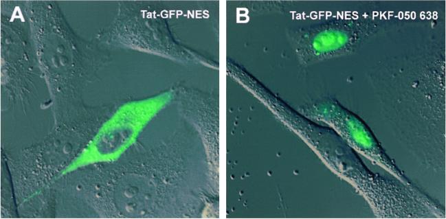 Fig 3.