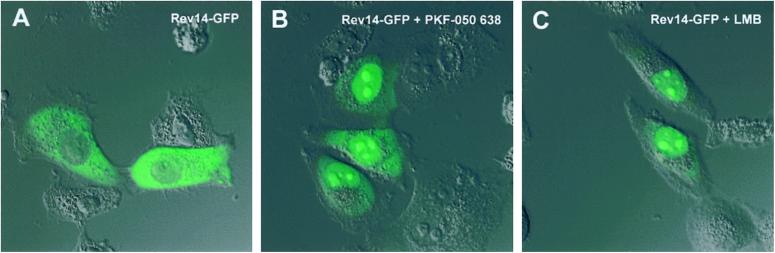 Fig 2.