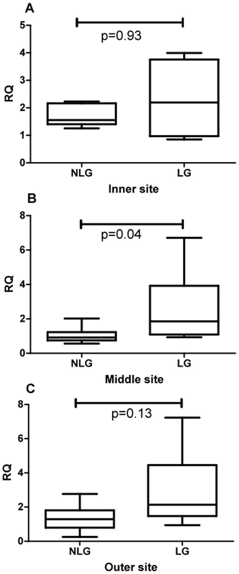 Figure 9