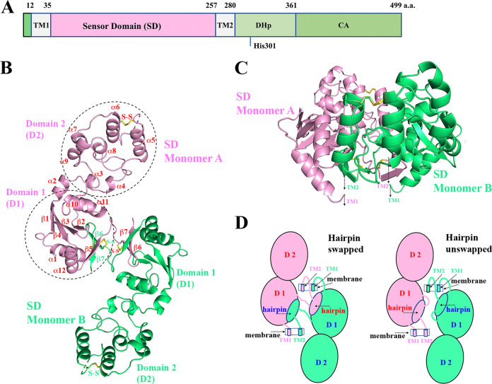 FIG 1