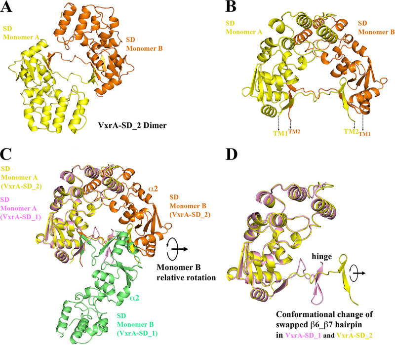 FIG 3