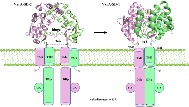 FIG 4