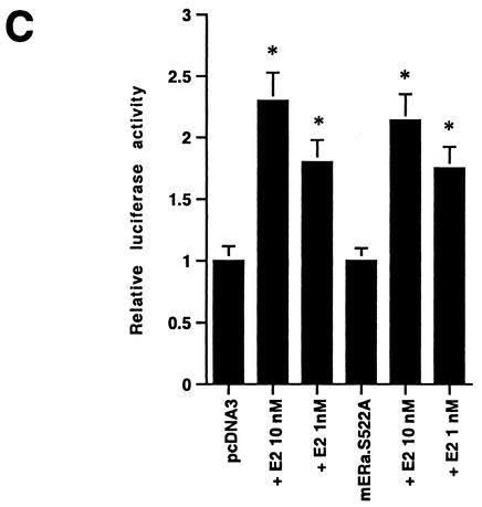 FIG. 5.