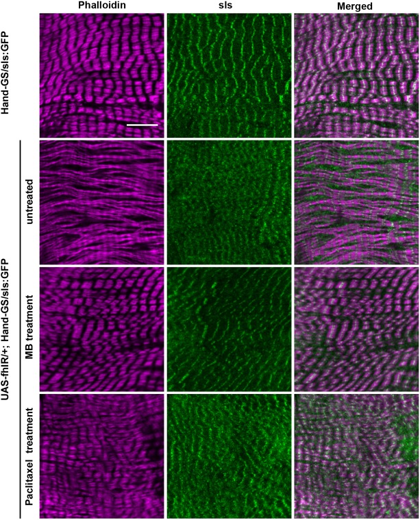 Fig. 4.