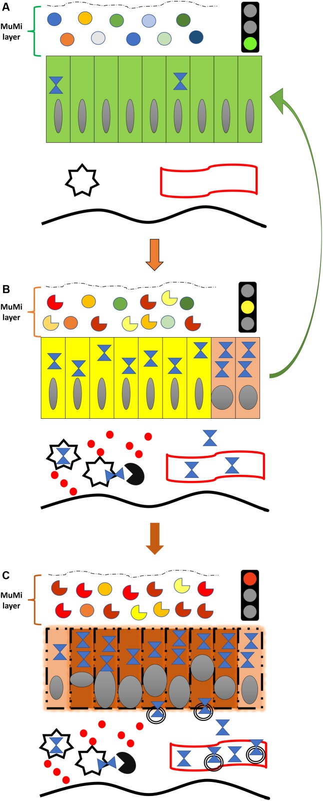 FIGURE 1