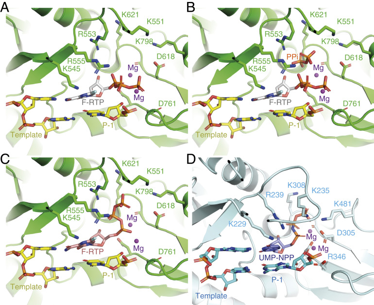 Fig. 4.