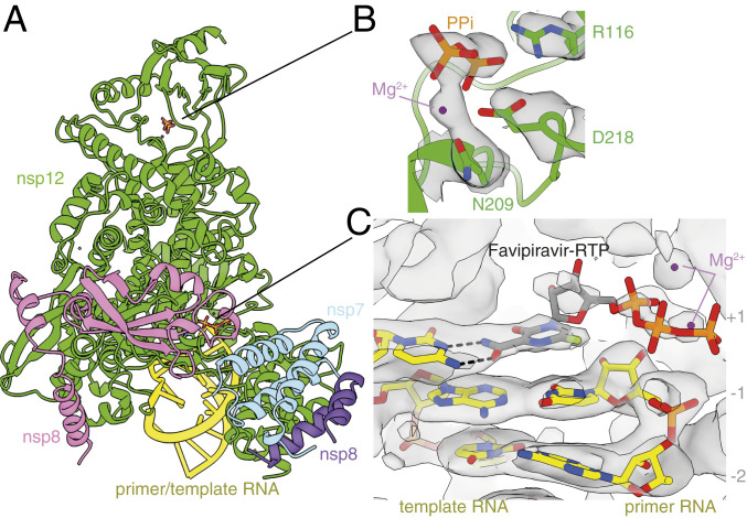 Fig. 3.