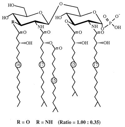 FIG. 7