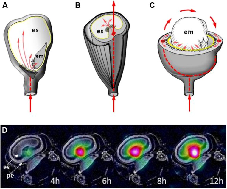 FIGURE 4