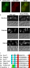 Figure 10.