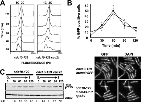 FIGURE 2.