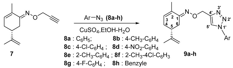 Scheme 4