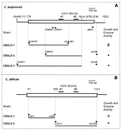 FIG. 1