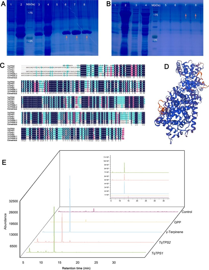 Figure 12