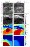 Fig. 6: