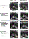 Fig. 1: