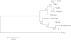 FIG 5