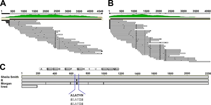 FIG 3