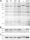 FIG 2