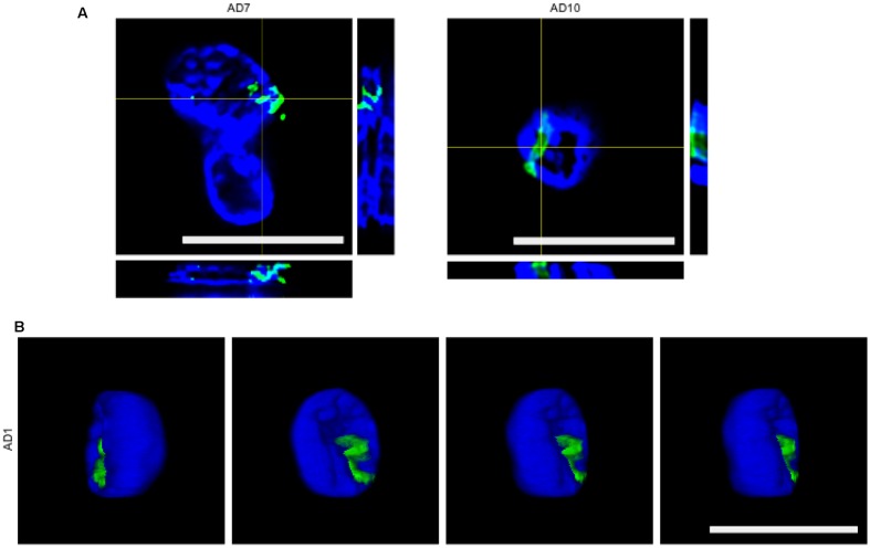 FIGURE 3