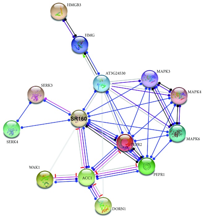 Figure 10