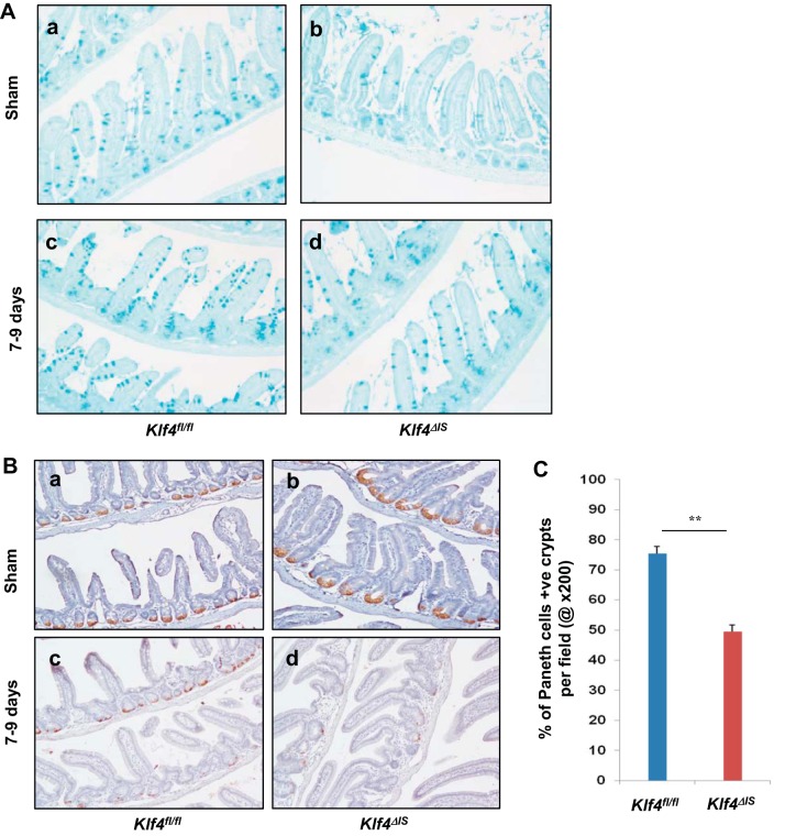 Fig. 11.