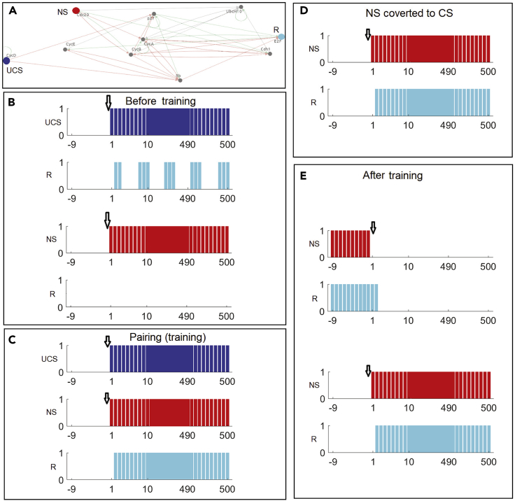 Figure 4