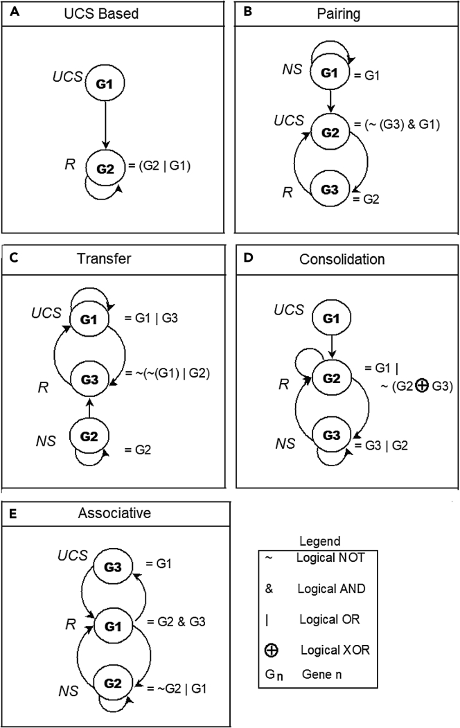 Figure 5