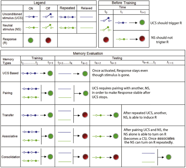 Figure 2