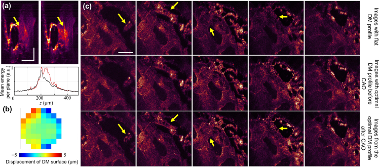 Fig. 6.