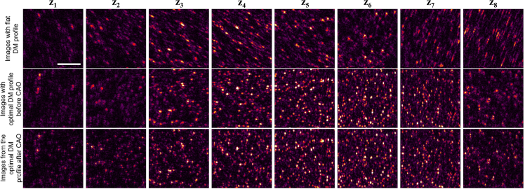 Fig. 4.