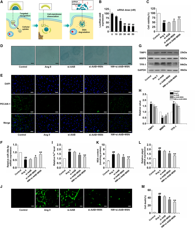 Figure 6