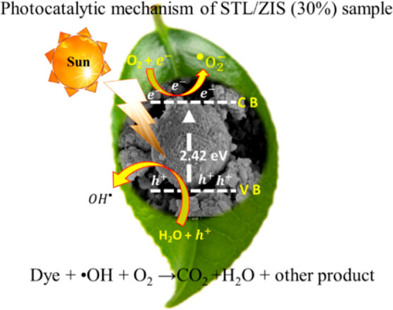 Figure 12