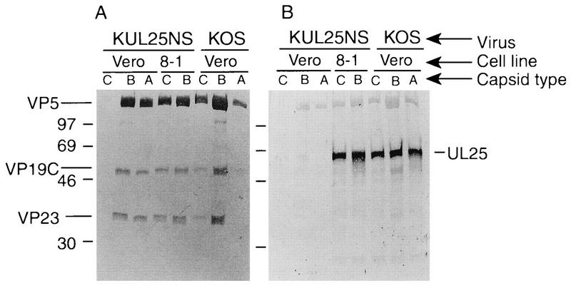 FIG. 9