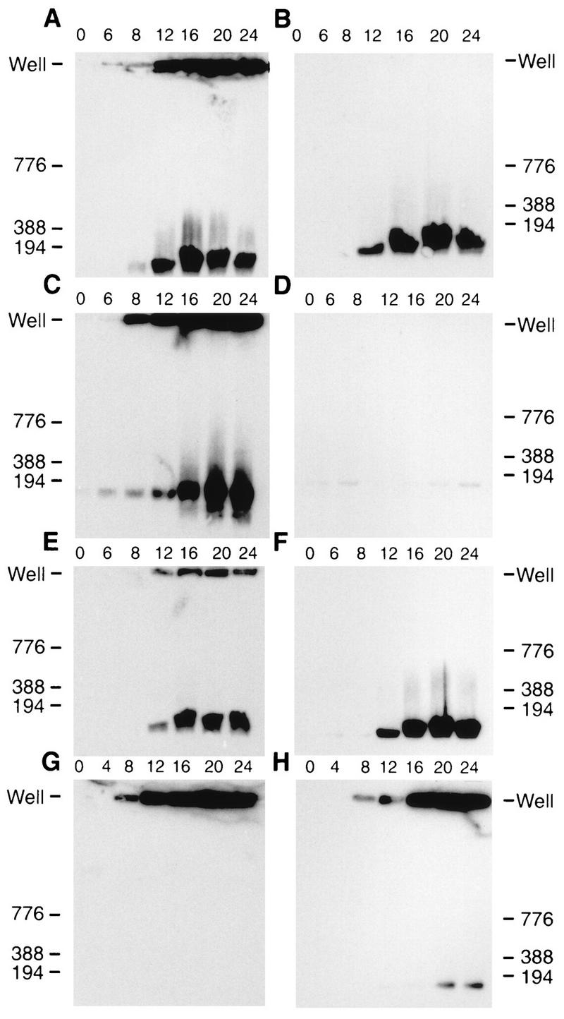 FIG. 6