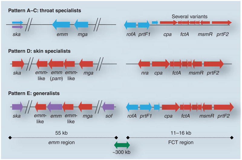 Figure 2