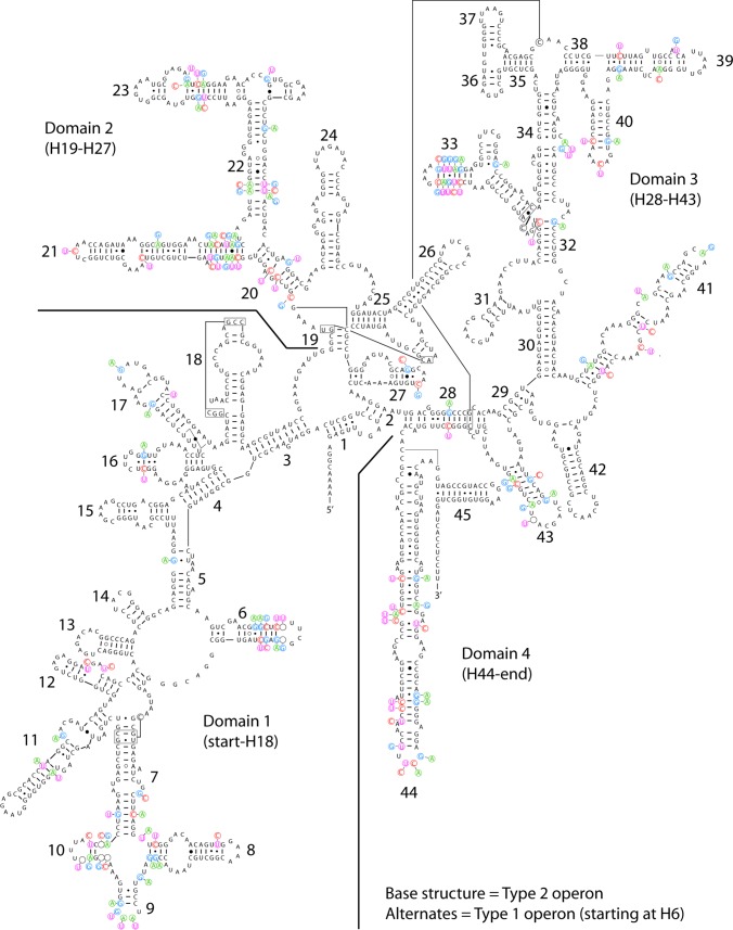 Fig 2