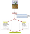 Fig. (1)