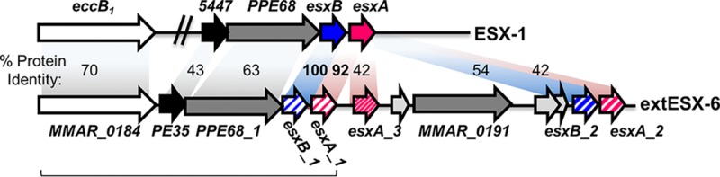 FIG 1