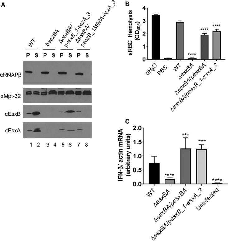 FIG 4