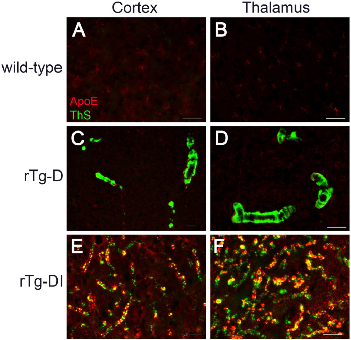 Fig. 10