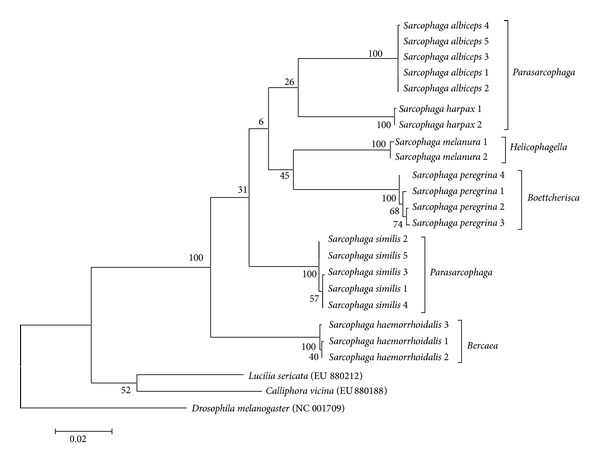 Figure 2