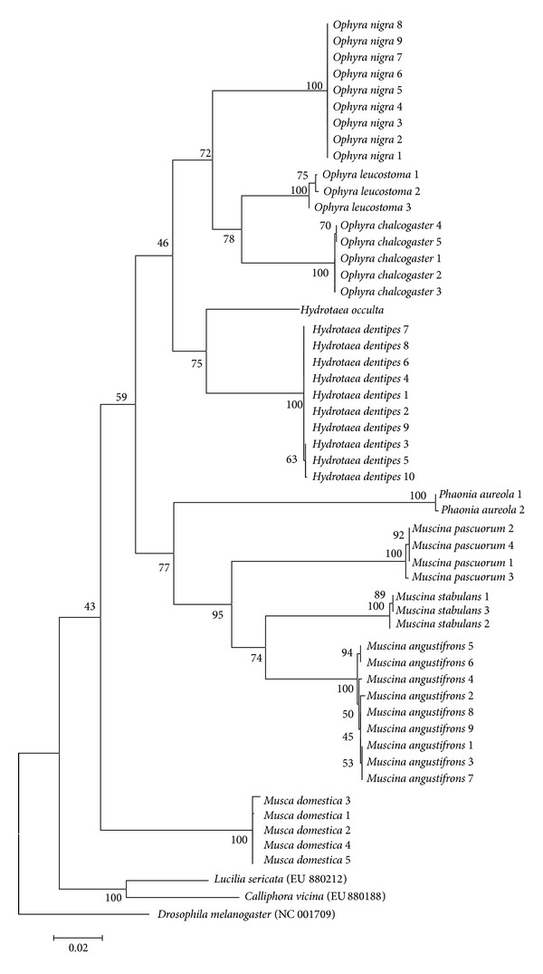 Figure 1